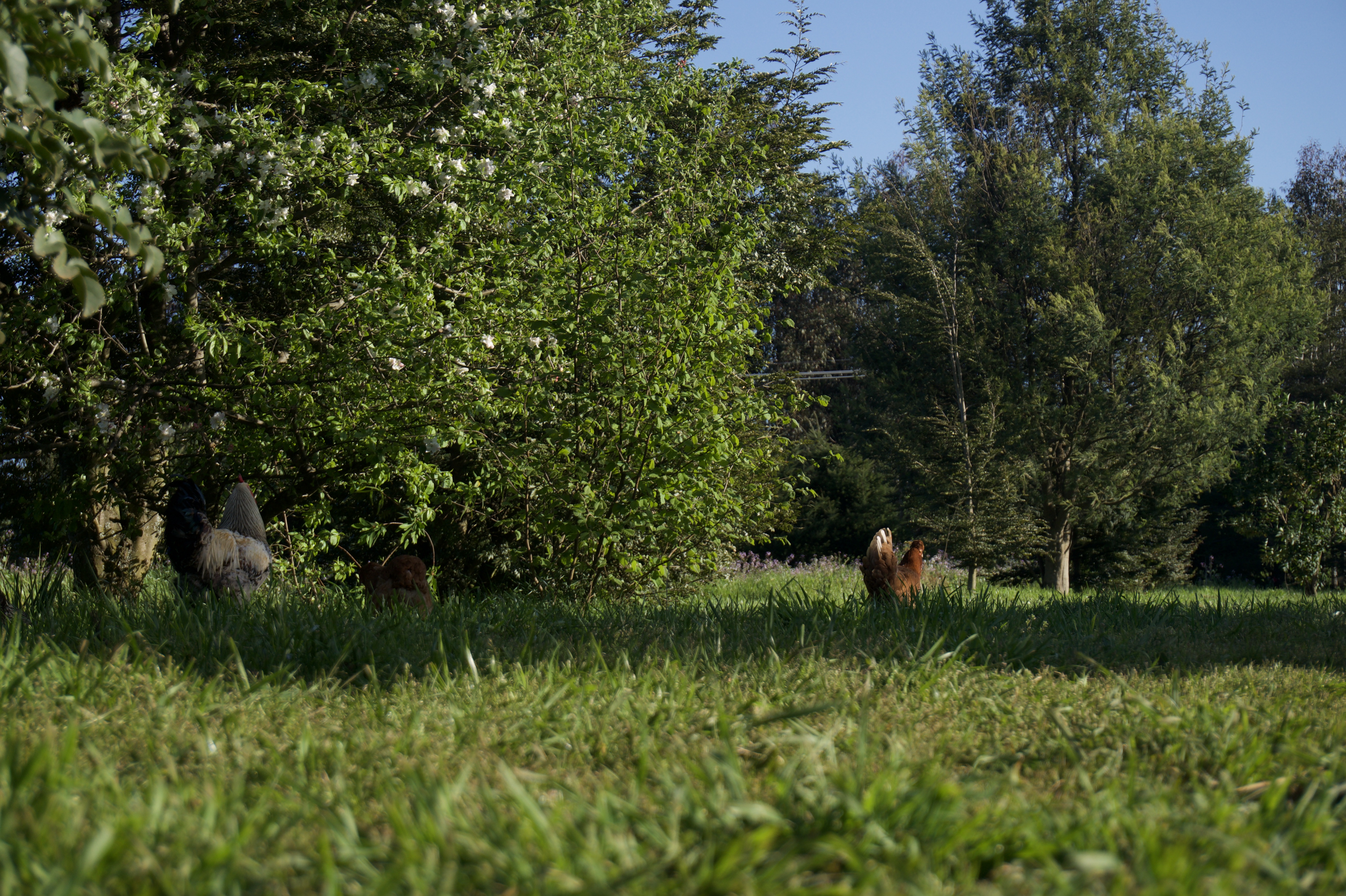 Vista del campo donde se celebrará el evento